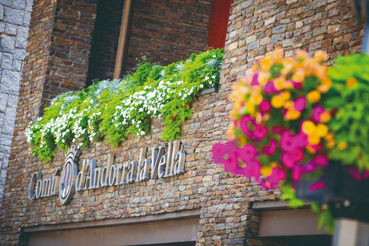 Viles Florides tweet media