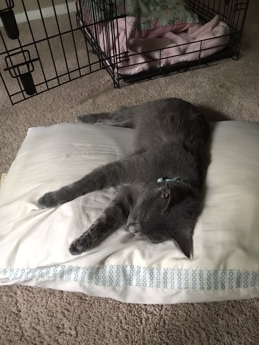 GoofysLeftToe's tweet image. Here’s my daughter