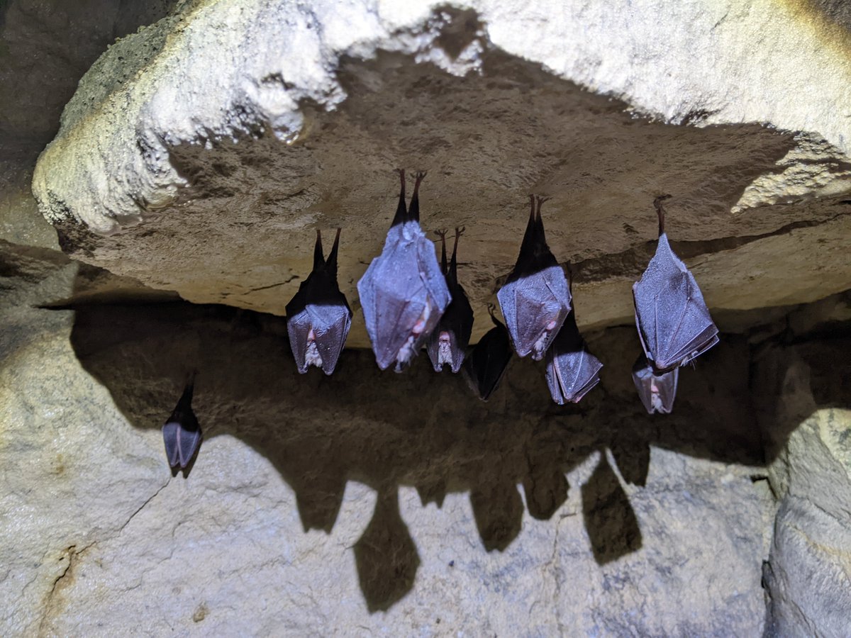 Luke Romaine tweet media