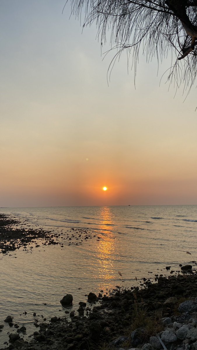 Penikmat Senja tweet media