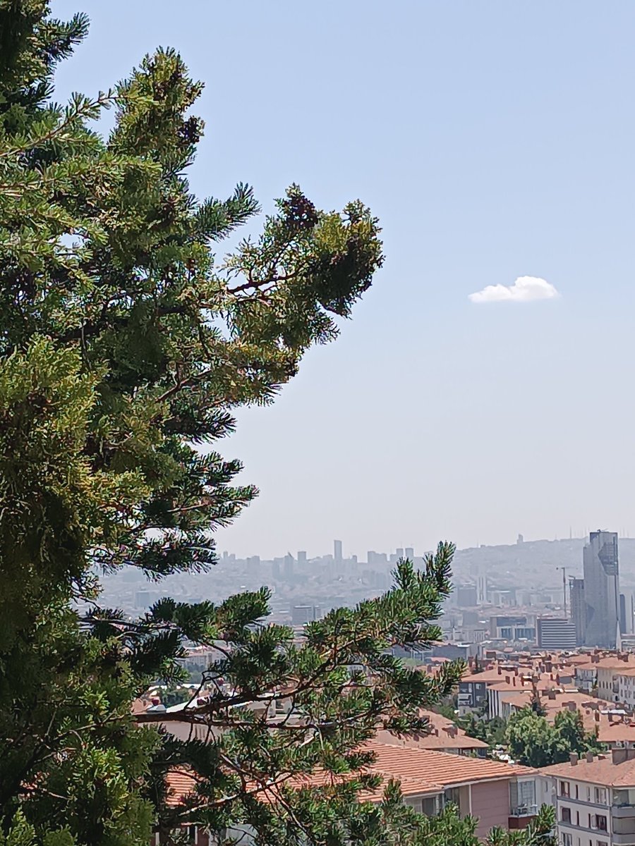 Pes Ankara sen daha sıcaksın!
🥵😂☺️