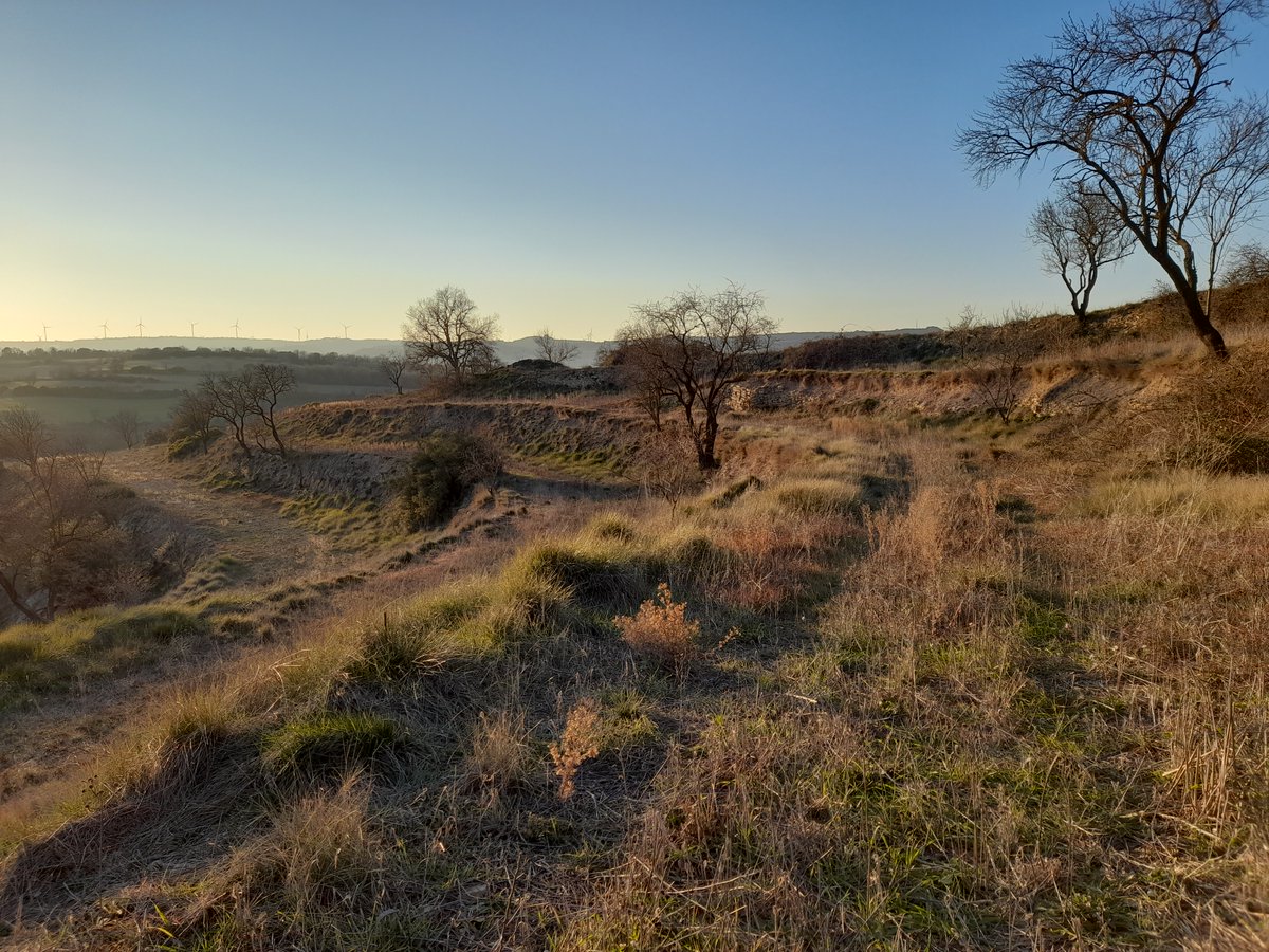 Did you know archaeologists study landscapes as well as individual sites and artefacts?  #AskAnArchaeologist 
Find out more about some of projects incorporating landscape archaeology connected to the Centre for Landscape at Newcastle ncl.ac.uk/landscape/our-…