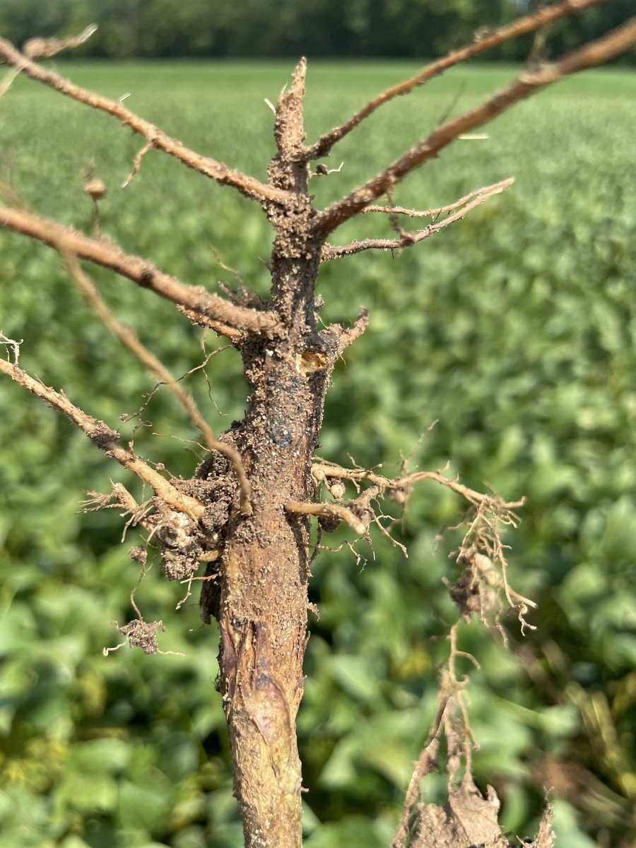 Ed Sikora tweet media