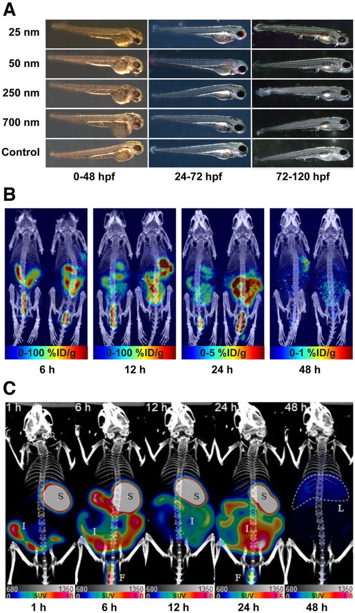JNM (@journalofnucmed) on Twitter photo New in JNM: Using #MolecularImaging and radiochemistry to study environmental #pollutants. ow.ly/8Gul50PbV9Q
#NuclearMedicine #PETscan <a href="/TheZeglisLab/">The Zeglis Laboratory ☢️</a> New in JNM: Using #MolecularImaging and radiochemistry to study environmental #pollutants. ow.ly/8Gul50PbV9Q
#NuclearMedicine #PETscan <a href="/TheZeglisLab/">The Zeglis Laboratory ☢️</a>