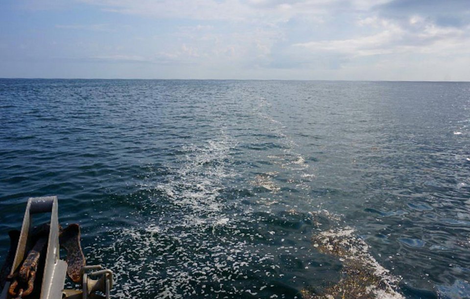 WHOISeaGrant's tweet photo. 🦞 Scientists sampled ocean convergences – where warm and cold waters meet – for lobster postlarvae. Convergences may be an important habitat for them before they settle on the seafloor to develop. More  👉 https://t.co/MXdGSYqeel @SeaGrant @WHOI #SeaGrantLobster #sciencetwitter https://t.co/gsFf96ATCh