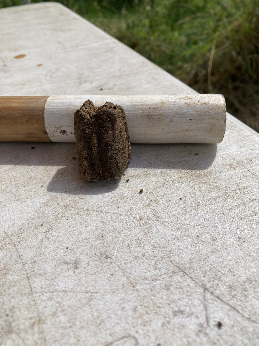 Steve Clarke tweet media