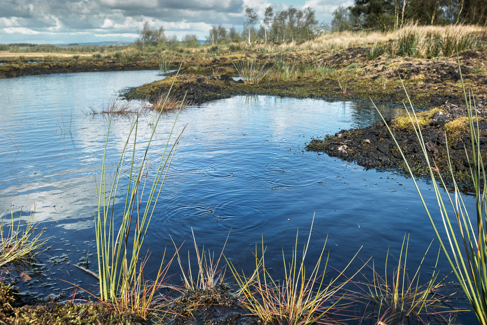 Dalefoot Composts tweet media