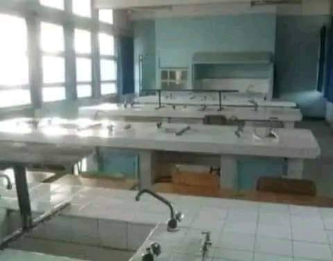 Aït Haaland tweet media