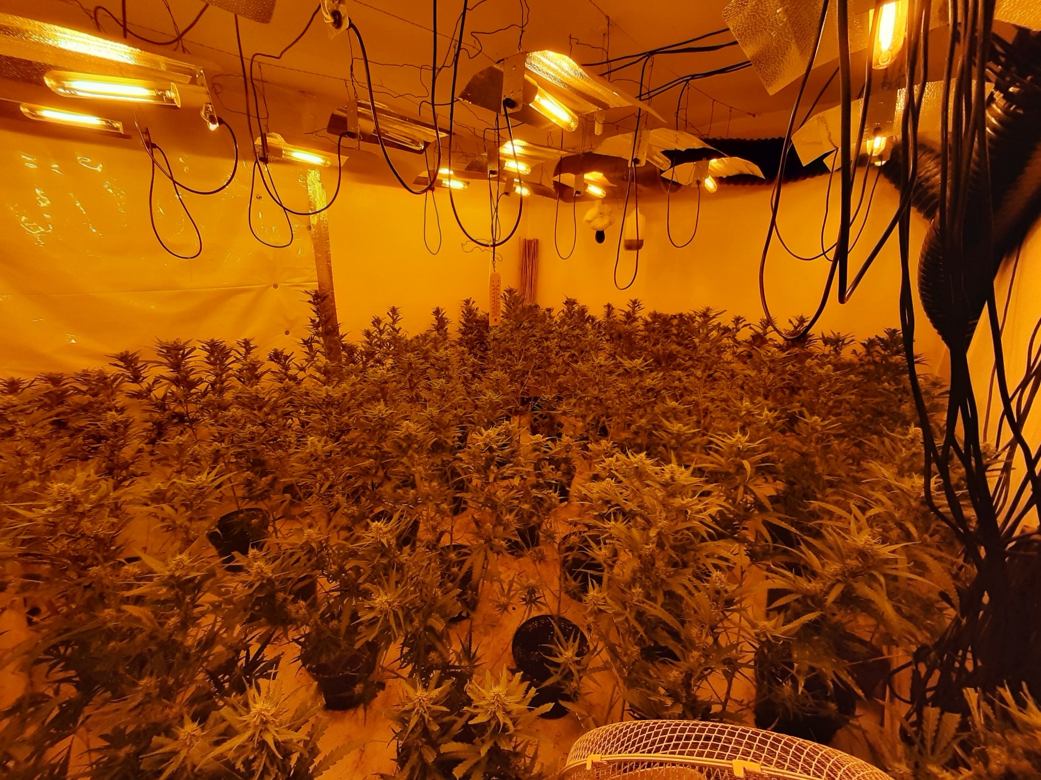 Portsmouth Police on Twitter "Pompey E Shift, executing a Section 8