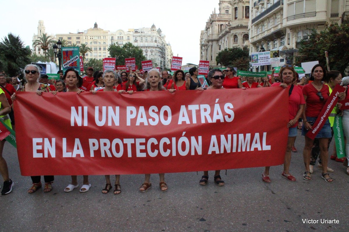 Ayer el colectivo animalista de la CV presente en la manifestación #NiUnPasoAtras que clamaba por los derechos de las personas, animales y del planeta. La Marea Roja de la CV estuvo allí para darle voz a los animales. 
Fue el colectivo más numeroso y que más ruido hizo.
POR ELLOS