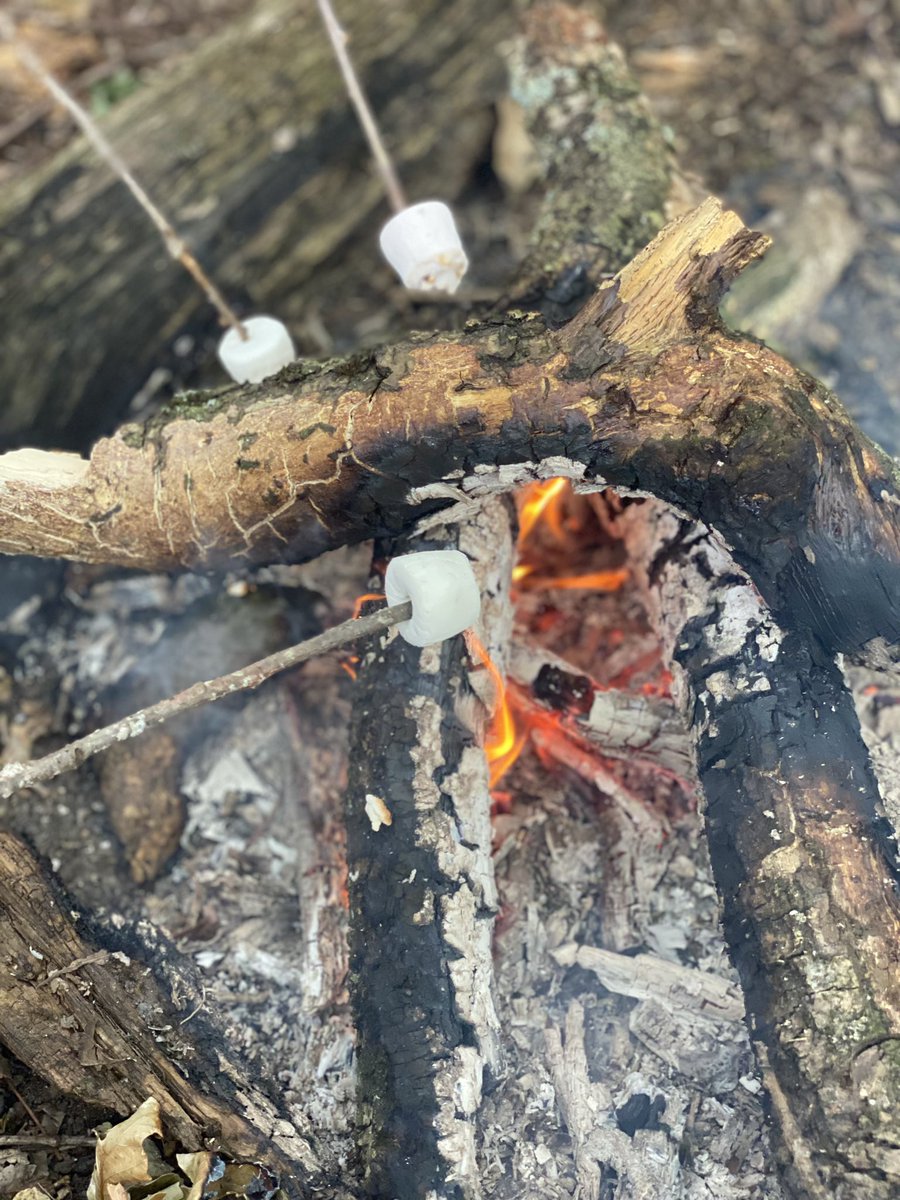 Barnhamlearners's tweet photo. We are so lucky that we have a forest schools site right on our doorstep! This week lots of singing with ukuleles was endured as well as toasting marshmallows and making s’mores 😋 What better way to spend a morning outdoors? 🌳🎶🍪 #forestschool #outdoorlearning #campfire https://t.co/oHicx6TvJz