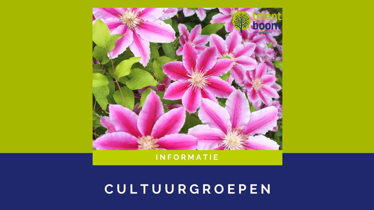 Talentboom2's tweet photo. De boomkwekerij is een brede sector met verschillende cultuurgroepen.  
Wil je meer weten over de boomkwekerij of wil je de cultuurgroepen leren kennen? Neem dan een kijkje op: https://t.co/7CzOsMKkTp

#boomkwekerij #zomerbloemen #groenisleven #levenlangleren https://t.co/mx0GvQmss3