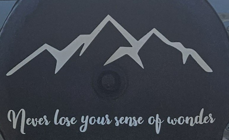 ddstein's tweet image. On your road of life, wander often.  Wonder always.