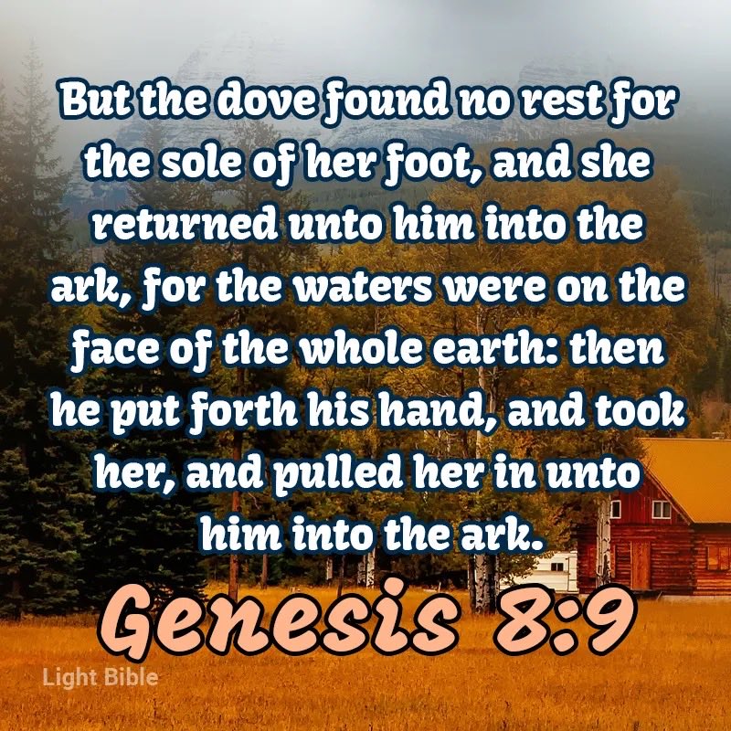DorisBa75169461's tweet photo. Good morning everyone have a blessed day. https://t.co/eS7Nq19o8G