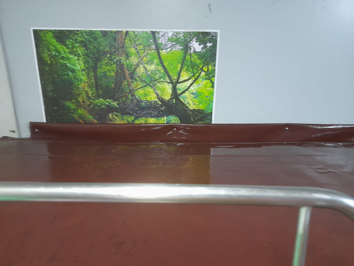 dodowalkin's tweet photo. My parents, uncle &amp; aunty is travelling from Nagpur to Jaipur in 1st AC. Entire cabin is filler with water coming from AC &amp; rain, no one is coordinating with them. 

I request authority to come in action immediately. 

@RailMinIndia @AshwiniVaishnaw 

PNR-4449896628
Trn:22631 https://t.co/uB7fuwHaNf