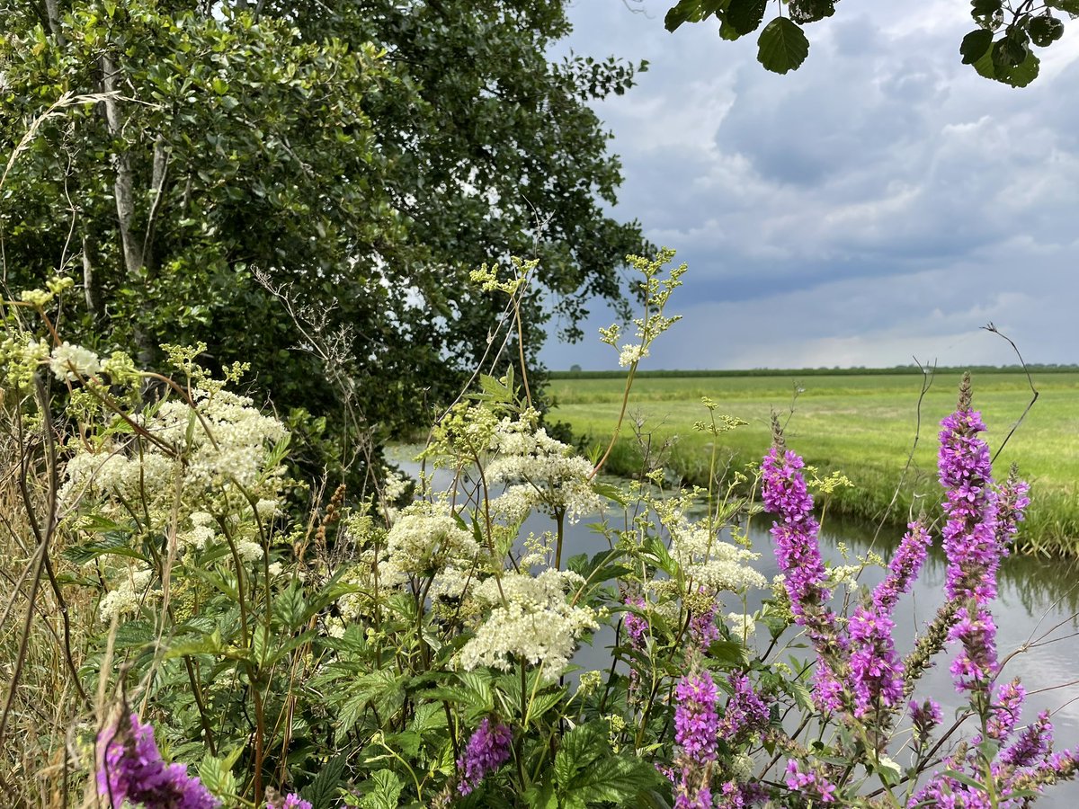 Groenehartstoc1's tweet photo. Houd ik het droog? Boven Oudewater zit een stevige bui #oppadinhetgroenehart #willeskop https://t.co/GkmwMfomHB