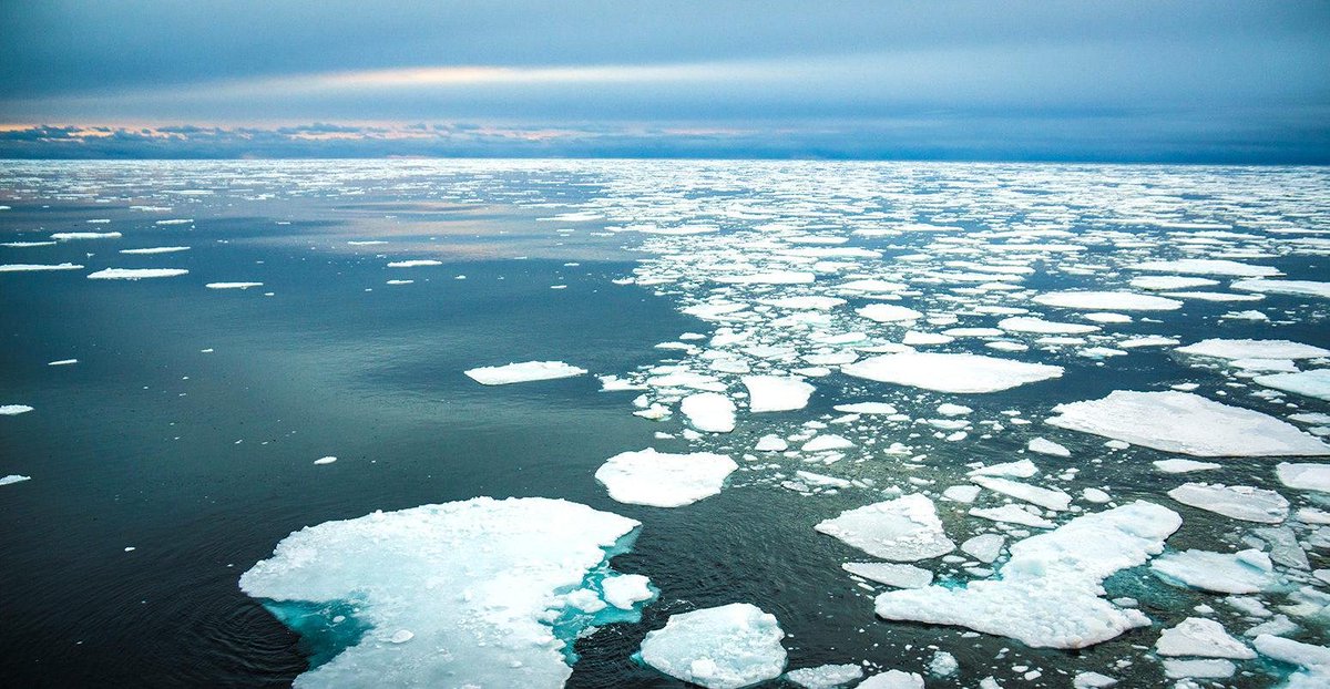 🎉 BREAKING NEWS: The polar ice caps have turned into a massive ice cream buffet due to climate change! Tempting, but we need to focus on climate action. #PolarIceCream #ClimateFiction