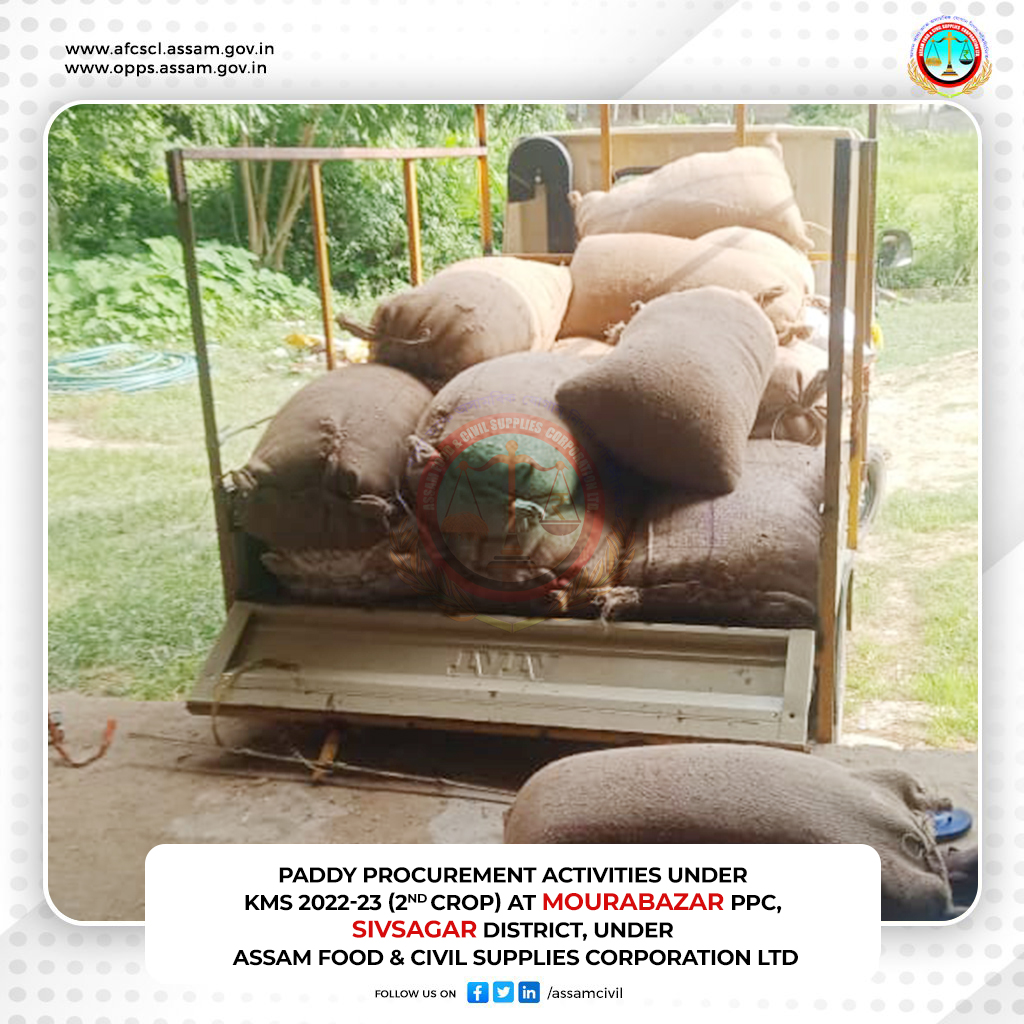 AssamCivil's tweet photo. Paddy procurement activities under KMS 2022-23 (2nd Crop) at Mourabazar PPC, Sivsagar District, under Assam Food &amp; Civil Supplies Corporation Ltd.
@himantabiswa @RanjeetkrDass @SamalBiswa_R
@Diganta99651540 @diprassam https://t.co/NUQPipMTG6