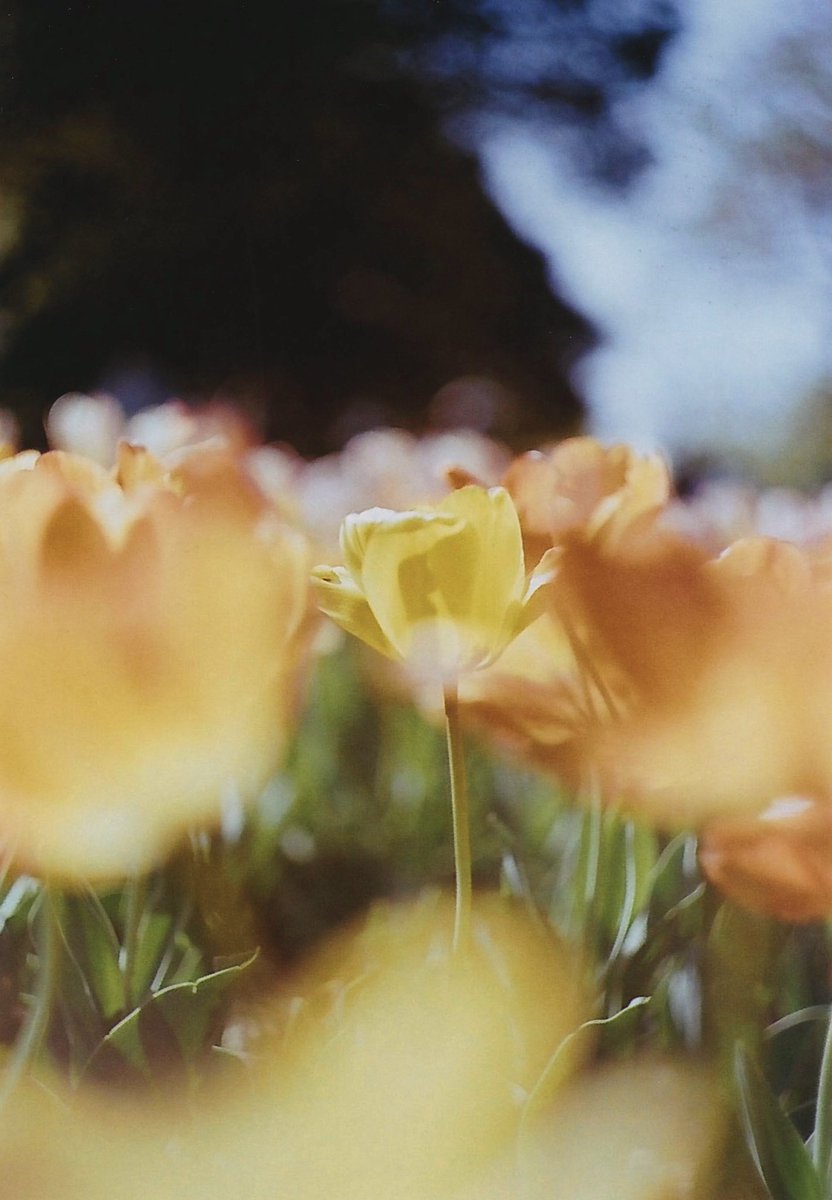 #kodak #believeinfilm