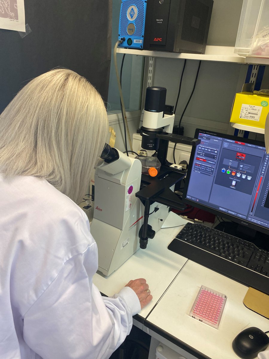 July is #SarcomaAwarenessMonth 🎗️💛

7 in 10 children who are diagnosed with #rhabdomyosarcoma will survive – but this is a lot lower than the average survival across all cancers.

That’s why #SNFs like <a href="/PassTheSmileOrg/">Pass The Smile For Ben🎗🌻🐋</a> &amp; <a href="/BeMoreRuby1/">Be More Ruby 🎗🦄💗⭐️🌈</a> are so important 👇🏻