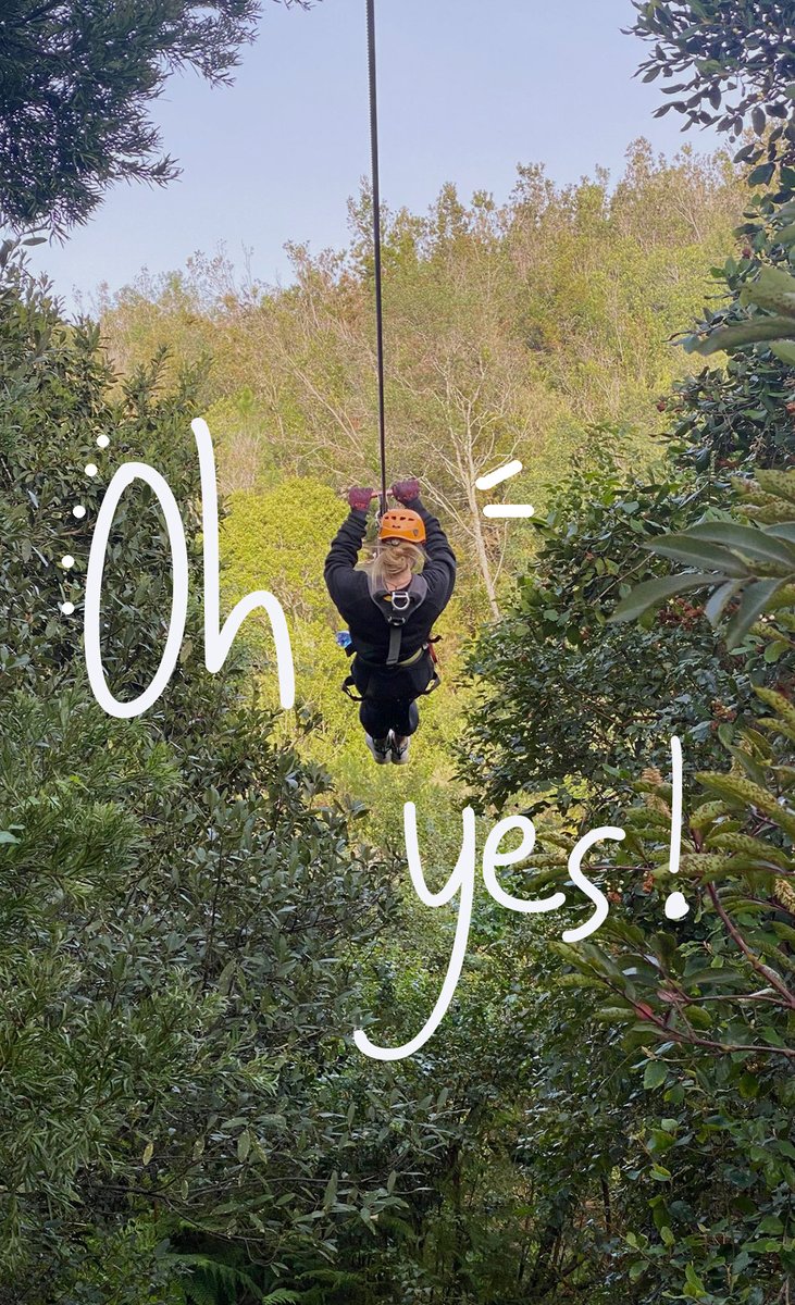 hotspots2c's tweet image. 🙌  𝐈𝐦𝐦𝐞𝐝𝐢𝐚𝐭𝐞𝐥𝐲 𝐘𝐄𝐒! 👍 ✅ Tick-off the must-visit spots and explore the #GardenRoute in all its glory with us.

Check our available Garden Route adventure tours online or DM us to book &amp;gt; hotspots2c.co.za
| 📷 : by guides Denver, Maudi, Uriel #tour2cchange