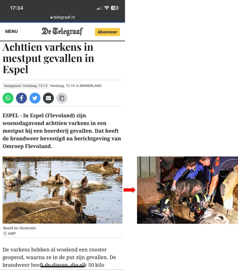 Achttien varkens bijna verdronken in een put gevuld met hun eigen uitwerpselen. 

En <a href="/telegraaf/">De Telegraaf</a> denkt dat het gepast is om er een foto bij te plaatsen van varkens die een modderbad nemen. Hoe diep kun je zinken?