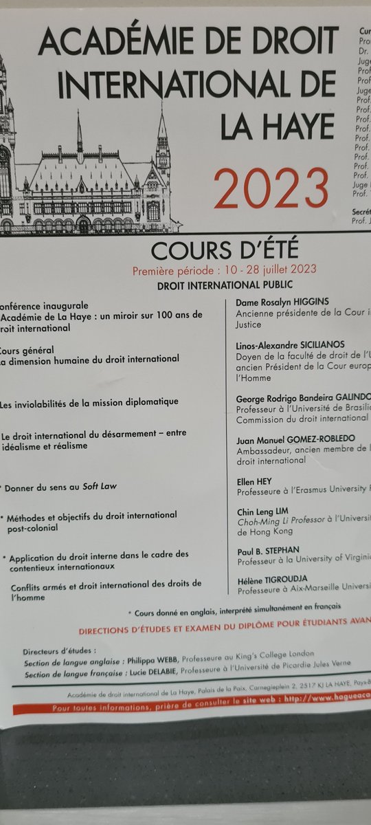 Hélène Tigroudja tweet media