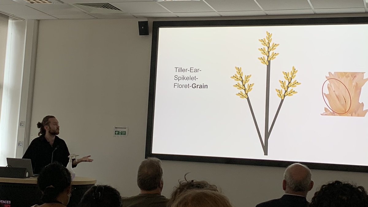 Pablo González-Suárez (@pablidopsis) on Twitter photo <a href="/al_wakeman/">Alex Wakeman</a> representing the Bennett lab today at the CPS symposium! 🌾 <a href="/PlantSciLeeds/">Plant Sciences Leeds</a> <a href="/UniversityLeeds/">University of Leeds</a> <a href="/al_wakeman/">Alex Wakeman</a> representing the Bennett lab today at the CPS symposium! 🌾 <a href="/PlantSciLeeds/">Plant Sciences Leeds</a> <a href="/UniversityLeeds/">University of Leeds</a>