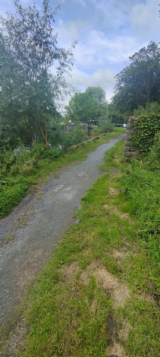 An accident or a large claim waiting to happen #waterwaysireland #carlowcountycouncil @carlowtourism @Carlow_Co_Co @waterwaysirelan word in Bagenalstown Co Carlow is that they won't repair it because a development to replace the green area with a pathway was rejected.