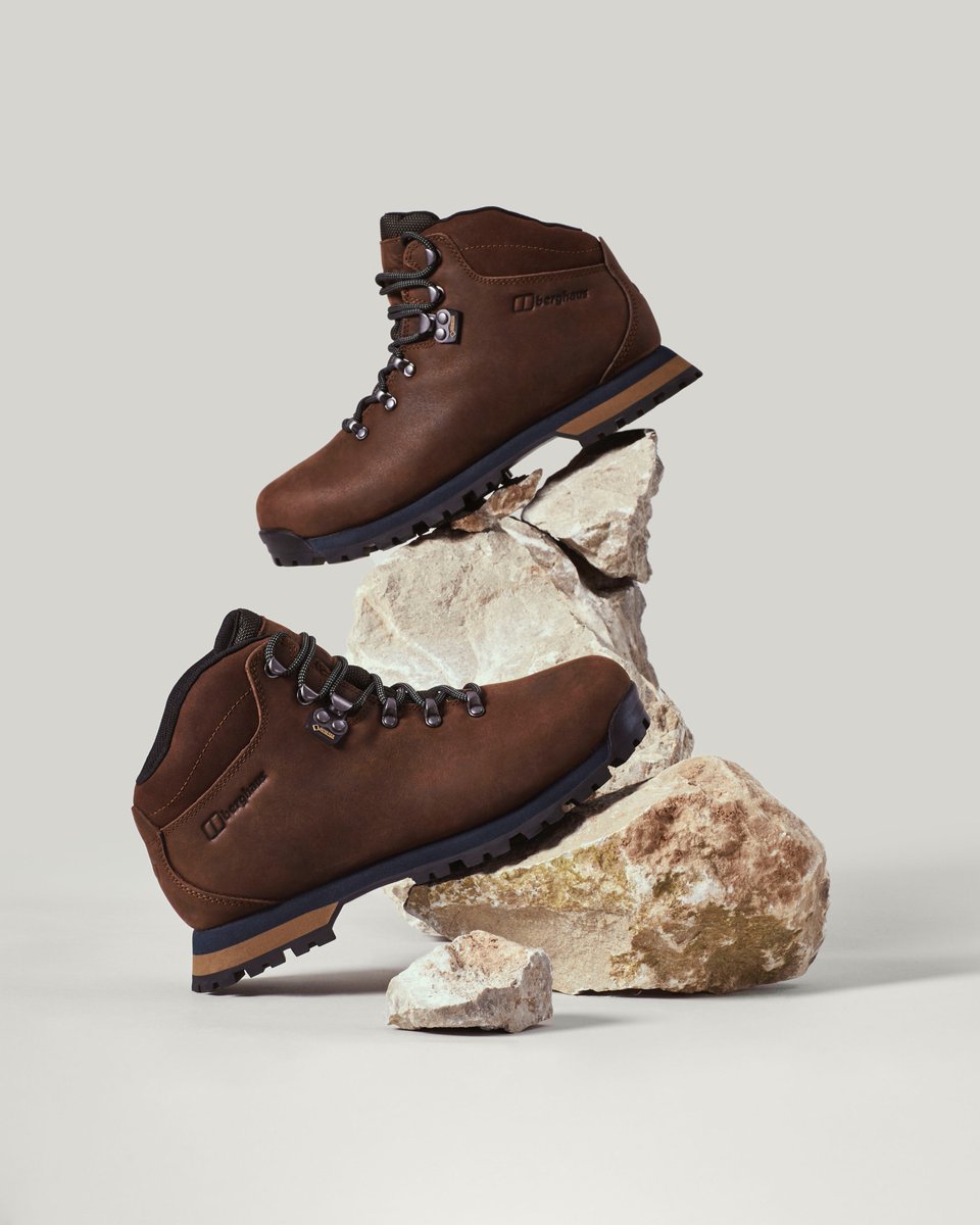 Mercieca tweet media