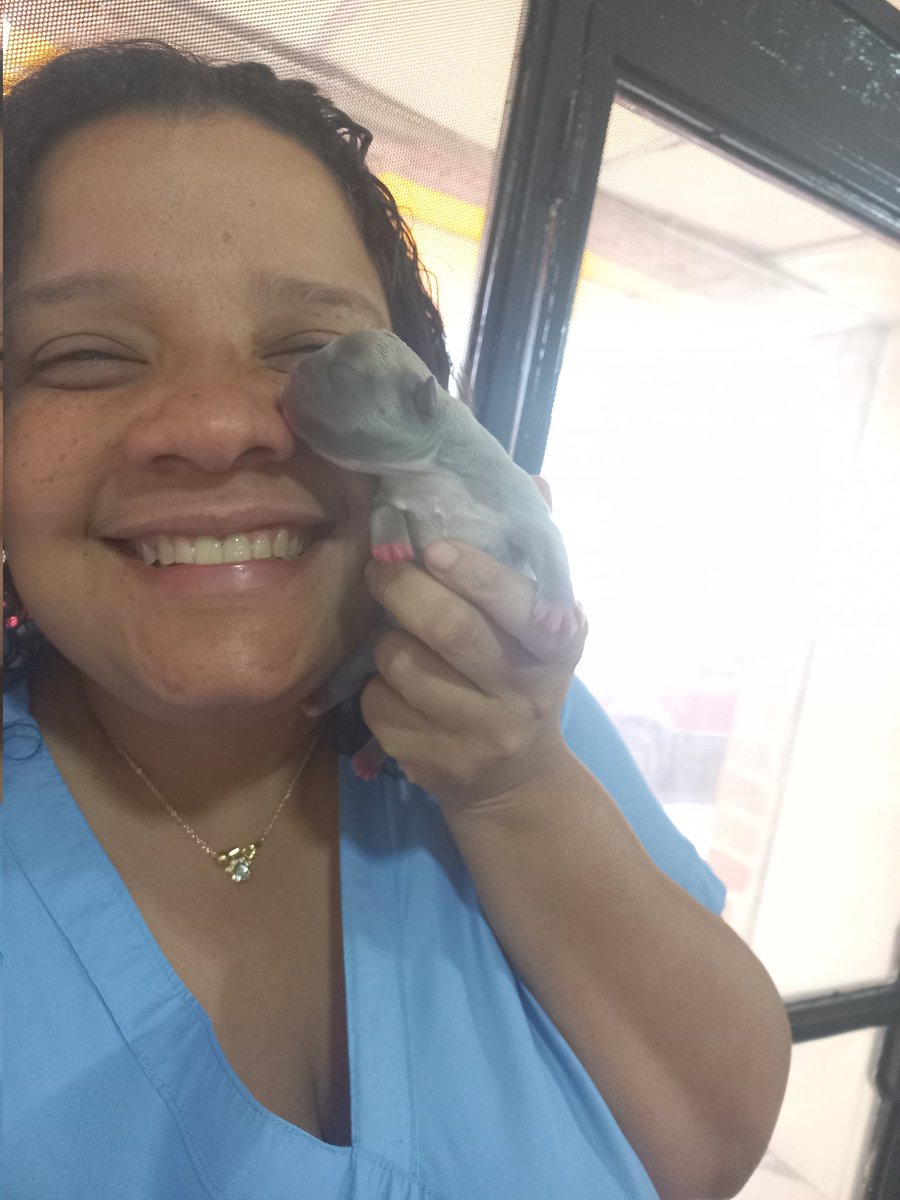 Ernisis_'s tweet photo. Feliz día a todos los colegas #médicosveterinarios https://t.co/rvwuytxhVM
