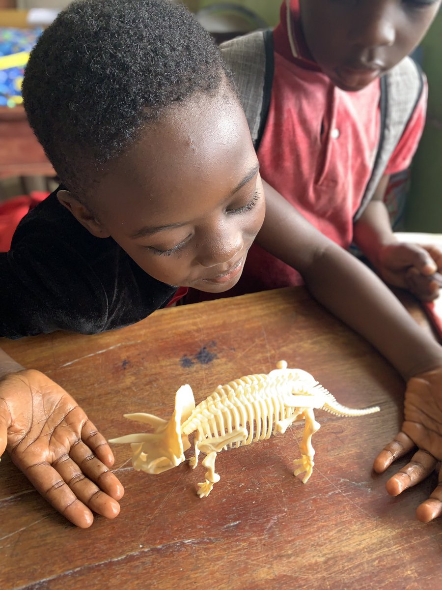 ASOWOS1's tweet photo. Yesterday at the #SmartSTEMAcademy, some of the kids were introduced to exploration geology. They had to dig and break to find the remains of a dinosaur and then join the parts found to build the dinosaurs skeleton.
It was a very captivating exercise! https://t.co/ywjmndnDZh