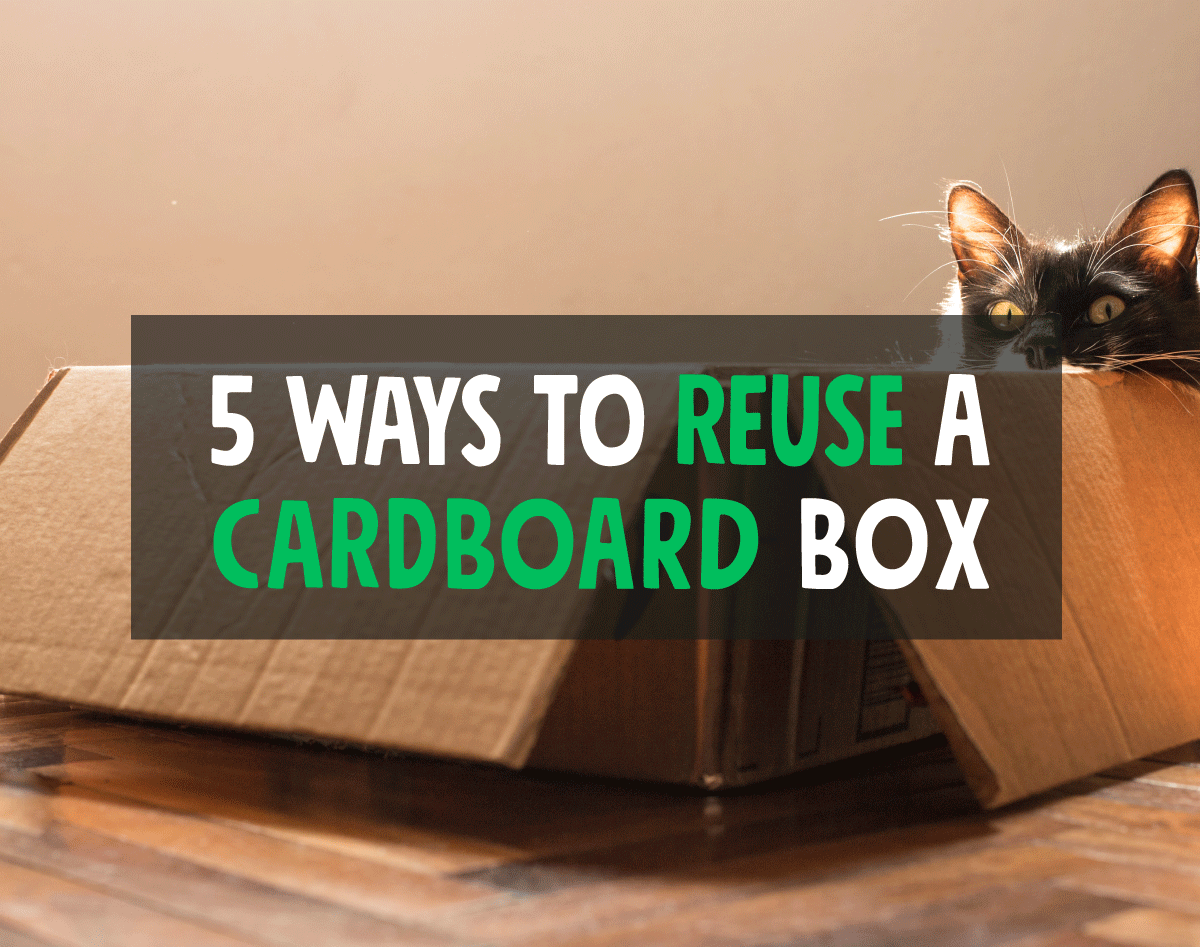 ReuseaboxLtd's tweet image. Did you know that the average Briton has 200 parcels delivered every year? 📦

Whilst the majority of these boxes will end up being recycled, there is a huge problem with cardboard boxes being only used as single-use packaging: buff.ly/3K1aUm8 #Packaging #CardboardBoxes