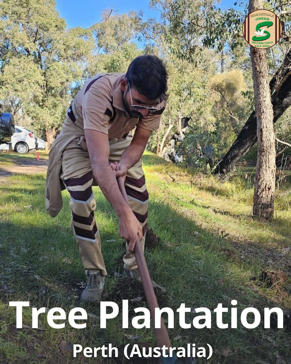 GreenSwelfares's tweet photo. Incredible! Shah Satnam Ji Green 'S' Welfare Force Wing volunteers in Perth, Australia have planted a staggering 9000 trees 🌳to nurture our planet's health and beauty! 🌎💚 Their tireless efforts towards environmental conservation is truly appreciable!! Let's unite in their mission to create a sustainable future! #TreePlantation #Environment #DeraSachaSauda #SaintMSG #RamRahim #Humanity