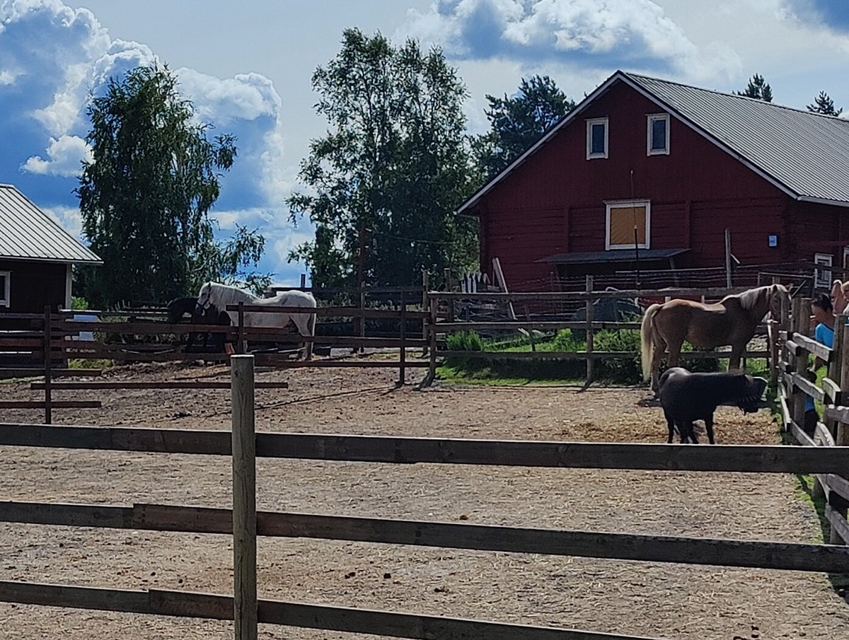 nhynnine's tweet photo. Mihin sitä kesälomalla muualle kuin tutustumaan Suomen ainoaan eläinten vanhainkotiin 
 - Ihana paikka ☀️🐎
@wanhaMarkki https://t.co/2YpEspq9Ww