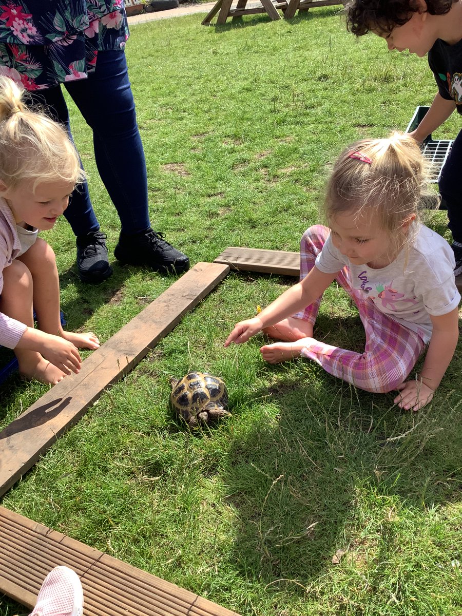 Bubbles the tortoise came to visit…
E  -  “I  want  to  give  him  some  lettuce.”  A  -  “It  was  green.”  E  -  “She  didn’t  want  to  eat  dandelions.”   “She  was  cute.”