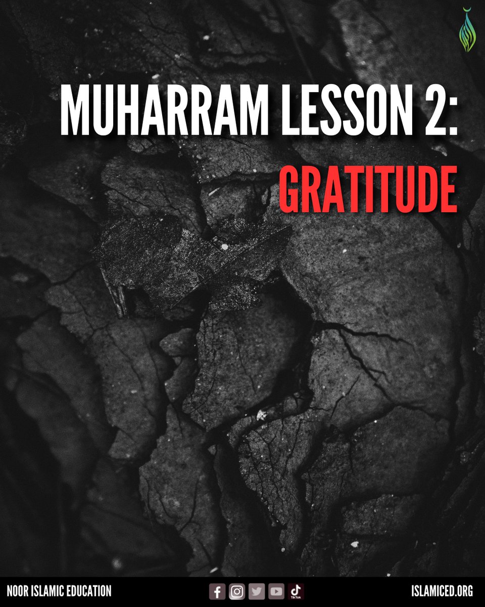 NoorIslamicEd's tweet image. Muharram Lesson 2: Gratitude⁠

#MuharramLessons #Gratitude #DrawingCloserToAllah #CountingOurBlessings #Muharram2023