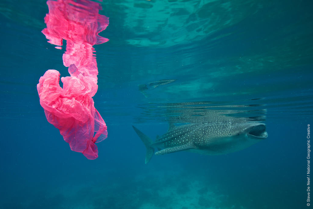 Destroyer of worlds, but make it pink.