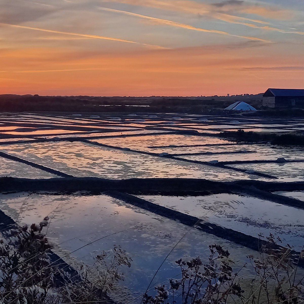 GuideNature44's tweet image. Coucher de soleil dans les marais salants de Guérande. Prêt pour une prochaine visite ? Toutes les sorties sur antoinemercier-guidenature.fr 
#sortienature #coucherdesoleil #NatureBeauty #sel #guerande #beautiful #Tourisme