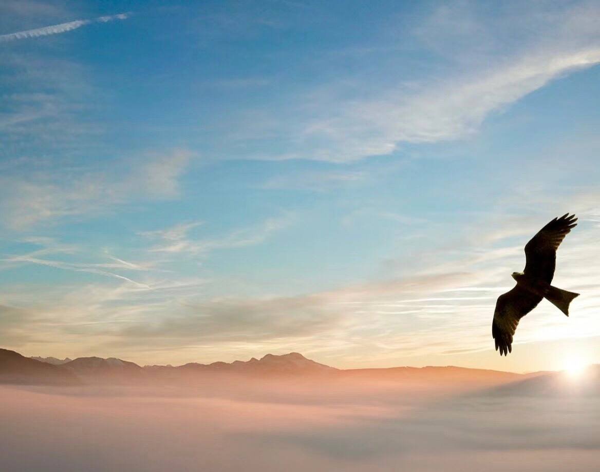 Your choice is to do it or not to do it, but if you don't do it, you'll never have a chance