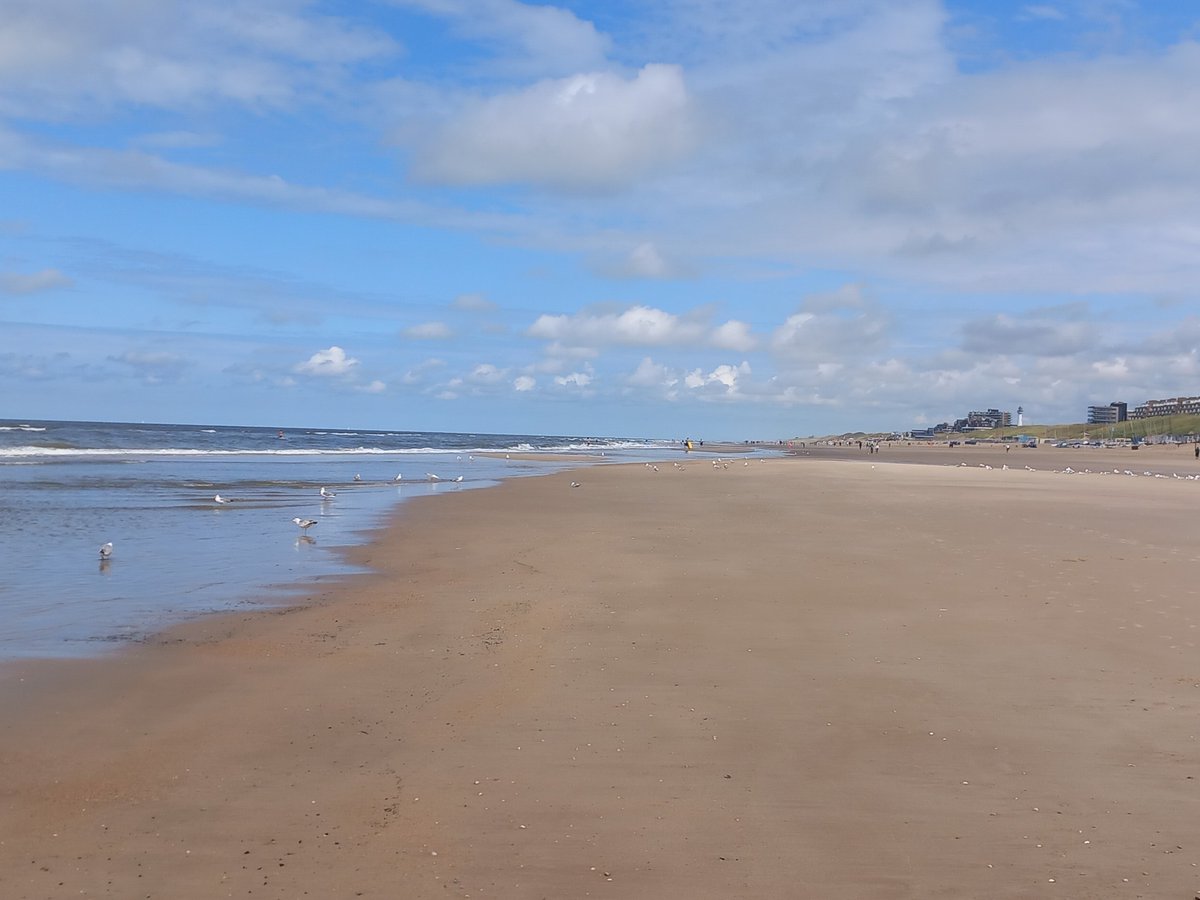 Schrijfs_Els's tweet photo. #haiku
veranderend tij
waait met alle winden mee
stroomt mee met de stroom

@dezeekust @DZK_Egmond @versvandezee 
#egmondaanzee https://t.co/hfRSmXbA19