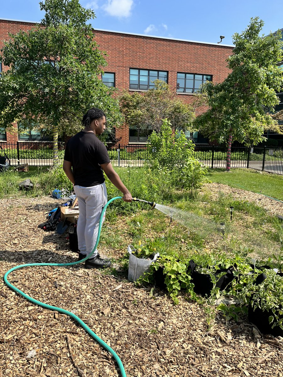 MsWelshNGHS's tweet photo. @NorthGrandHS Summer Garden Club has planted vegetables, herbs, fruit trees, and traditional plants for dye and tea. Students also created two native garden to encourage pollinators and wildlife. #studentcentered #urbangarden #schoolgarden https://t.co/4iuXSyP8Kk