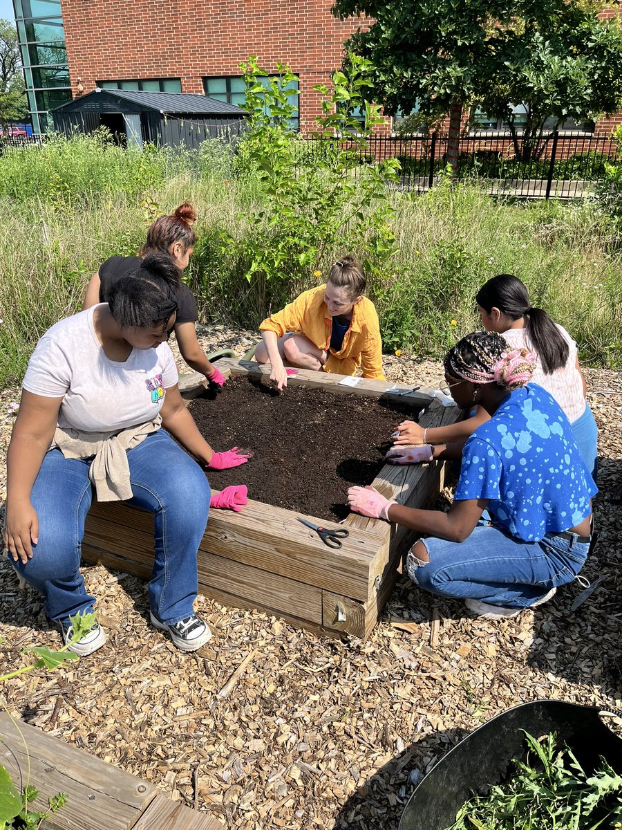 MsWelshNGHS's tweet photo. @NorthGrandHS Summer Garden Club has planted vegetables, herbs, fruit trees, and traditional plants for dye and tea. Students also created two native garden to encourage pollinators and wildlife. #studentcentered #urbangarden #schoolgarden https://t.co/4iuXSyP8Kk