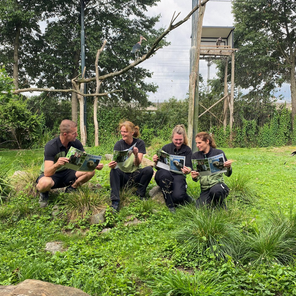 Diergaarde Blijdorp tweet media