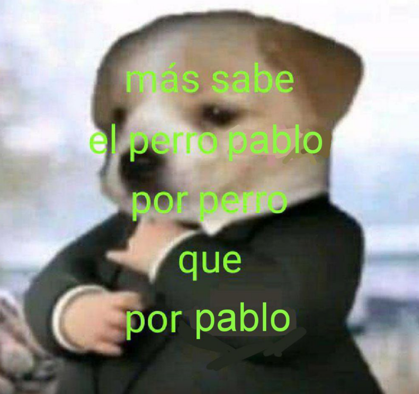 Tai1Games's tweet photo. Feliz #DíaMundialDelPerro https://t.co/QsvOfpWwSQ