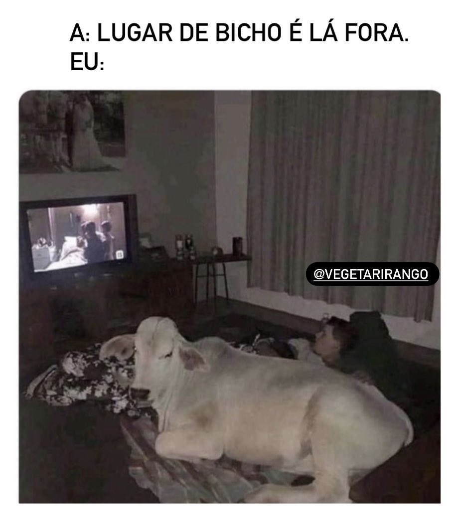 vegetarirango's tweet photo. Né? 🤪 https://t.co/jS9KONC5XA