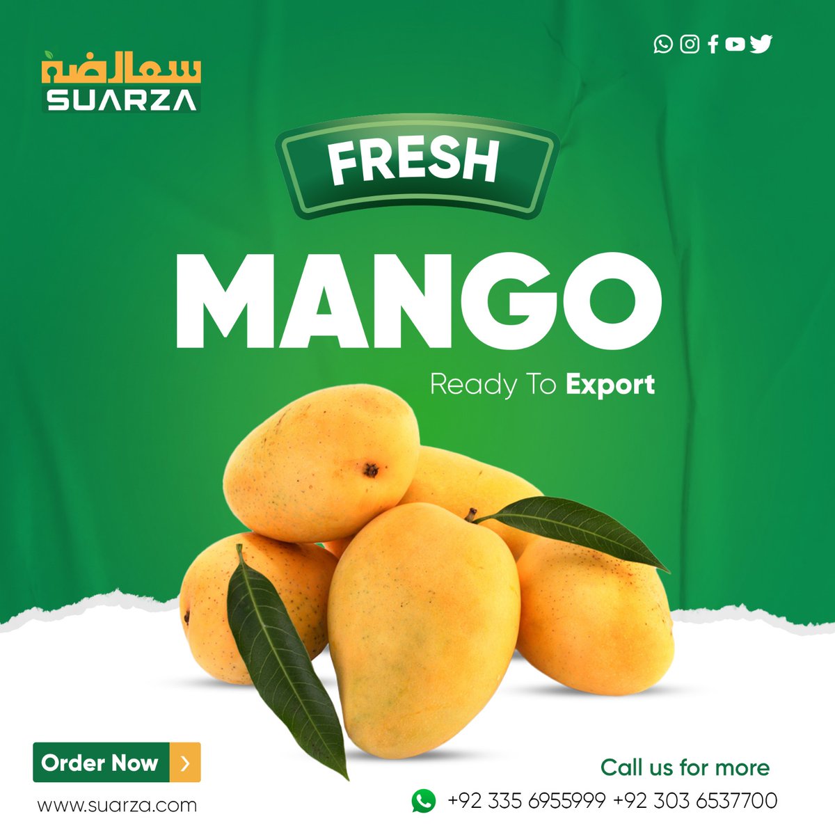 suarzagroup's tweet photo. Fresh Mango Ready To Export

Order Online
https://t.co/4pDjXKl2aF

Contact Us
+92 335 6955999
+92 303 6537700

#suarza #ready #Export #sunehra #Pakistan https://t.co/NhbGKkeKpE