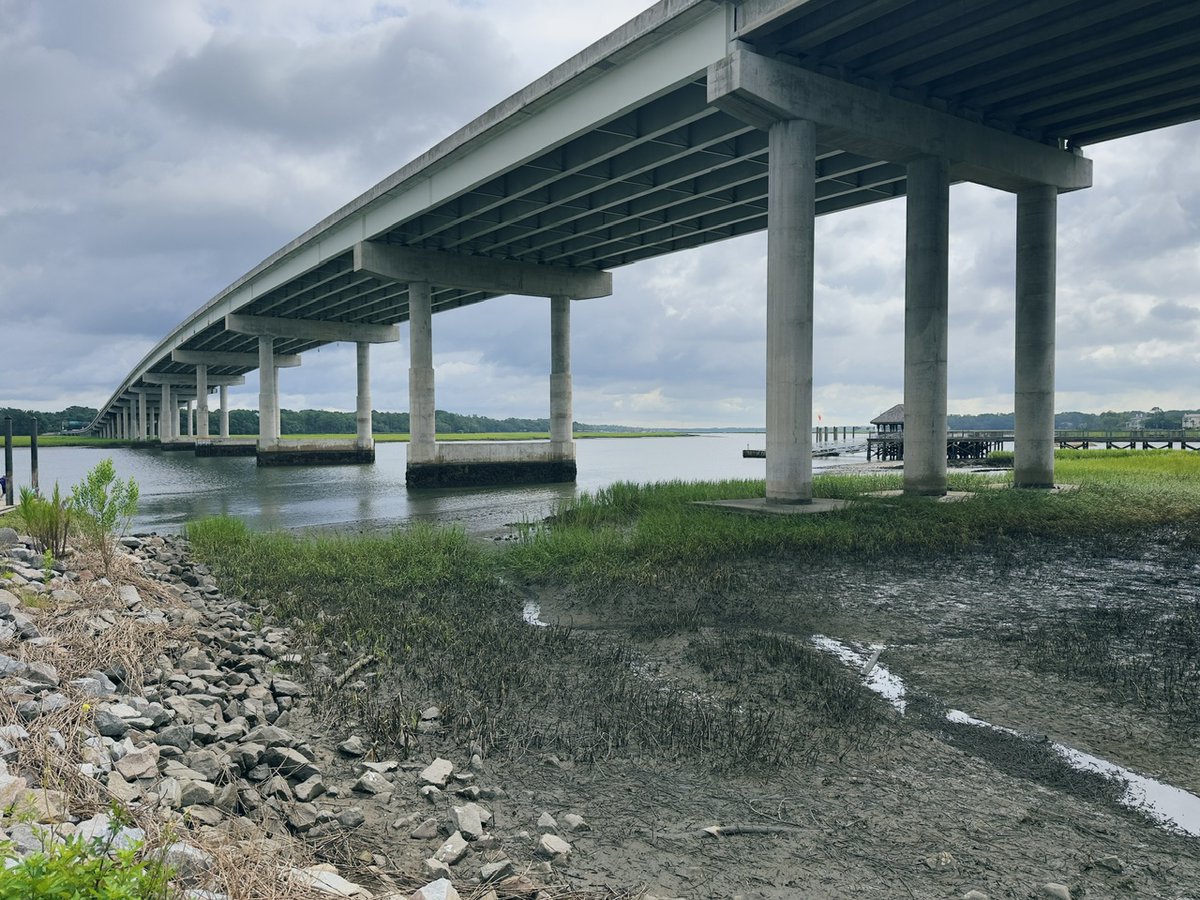 🦫 Urban trees, a shift in language, and robot combat - mailchi.mp/gmrva/good-mor…