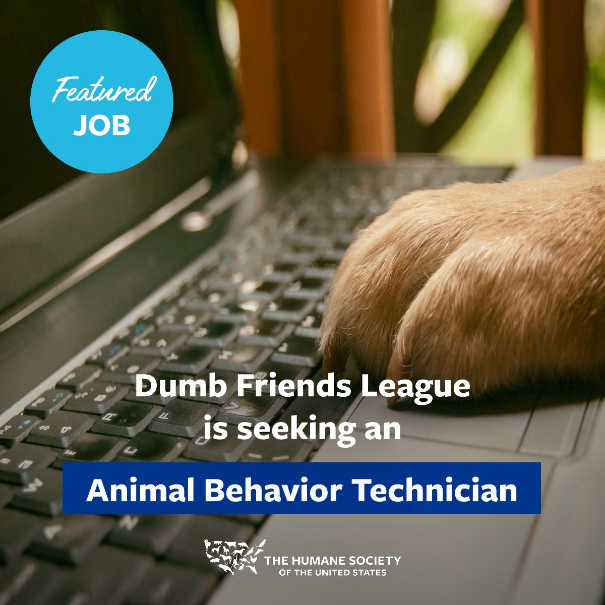 Today we're highlighting the animal behavior technician position at the Dumb Friends League (@DDFL) in Denver, CO. This is a full-time position with an salary range of $20.00-$20.90 per hour. Learn more and apply by September 15, 2023 at: bit.ly/3XTZkyW.