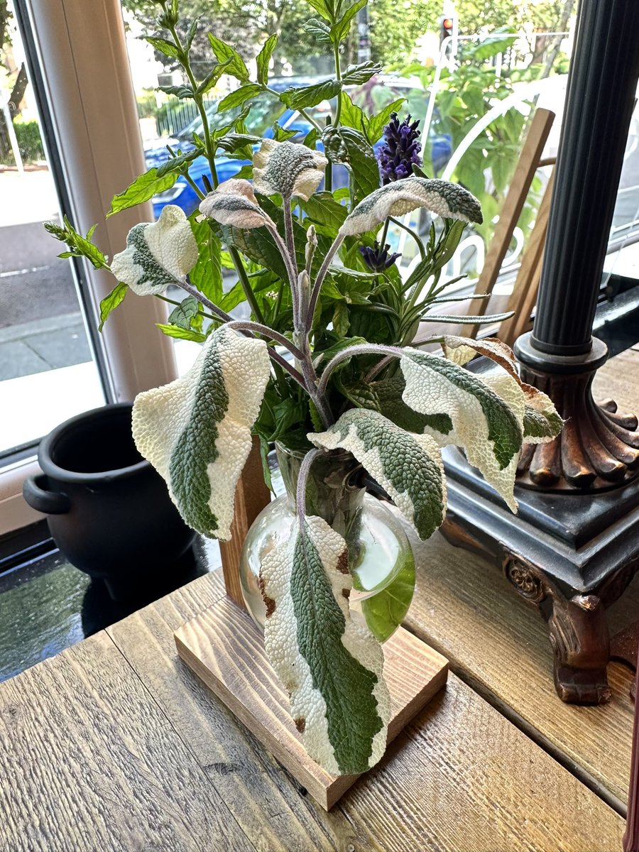 Linzi_BPL's tweet image. #Blackpool we are coming for you!! @ProgrammeRoots (@claraduparc) and I are here in town so if you want a brew let us know. Just under one week until our #communityconversation